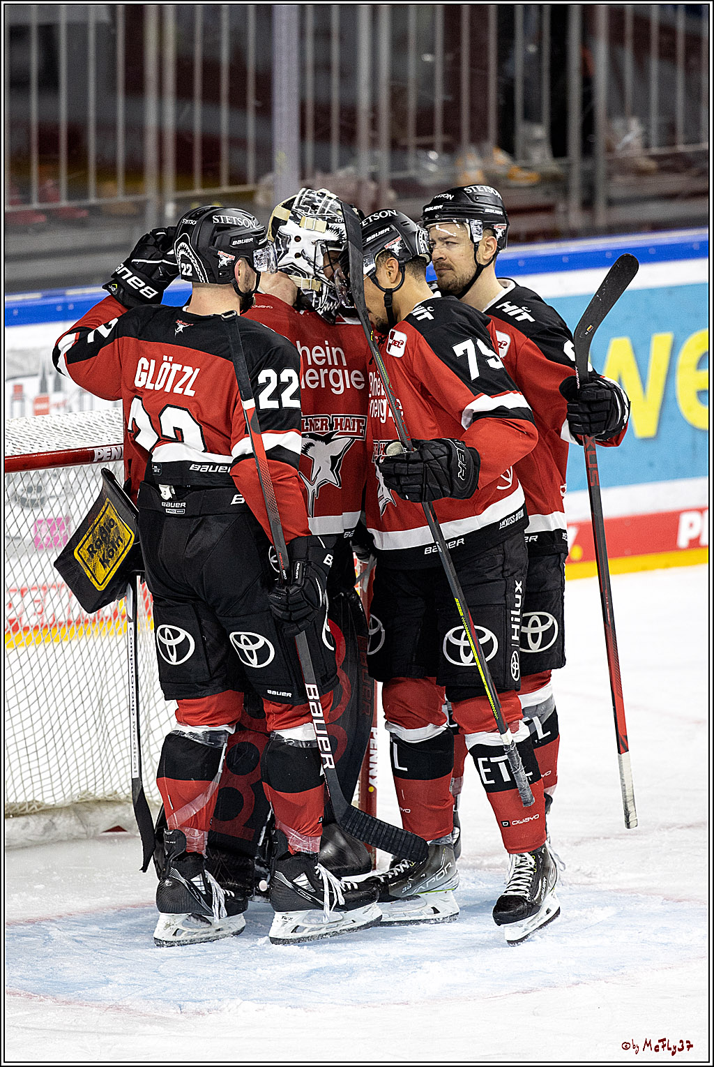 PENNY DEL;  Koelner Haie - Bietigheim Steelers; Koeln, 19.11.2021
